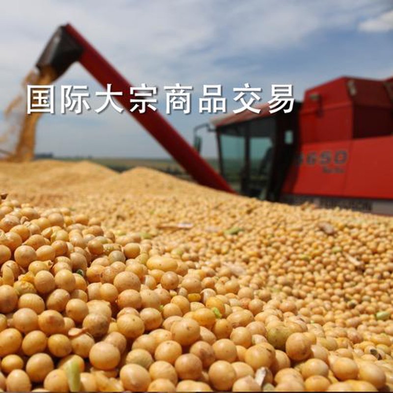 全球贸易风向标：洞察进出口贸易公司的行业潮头